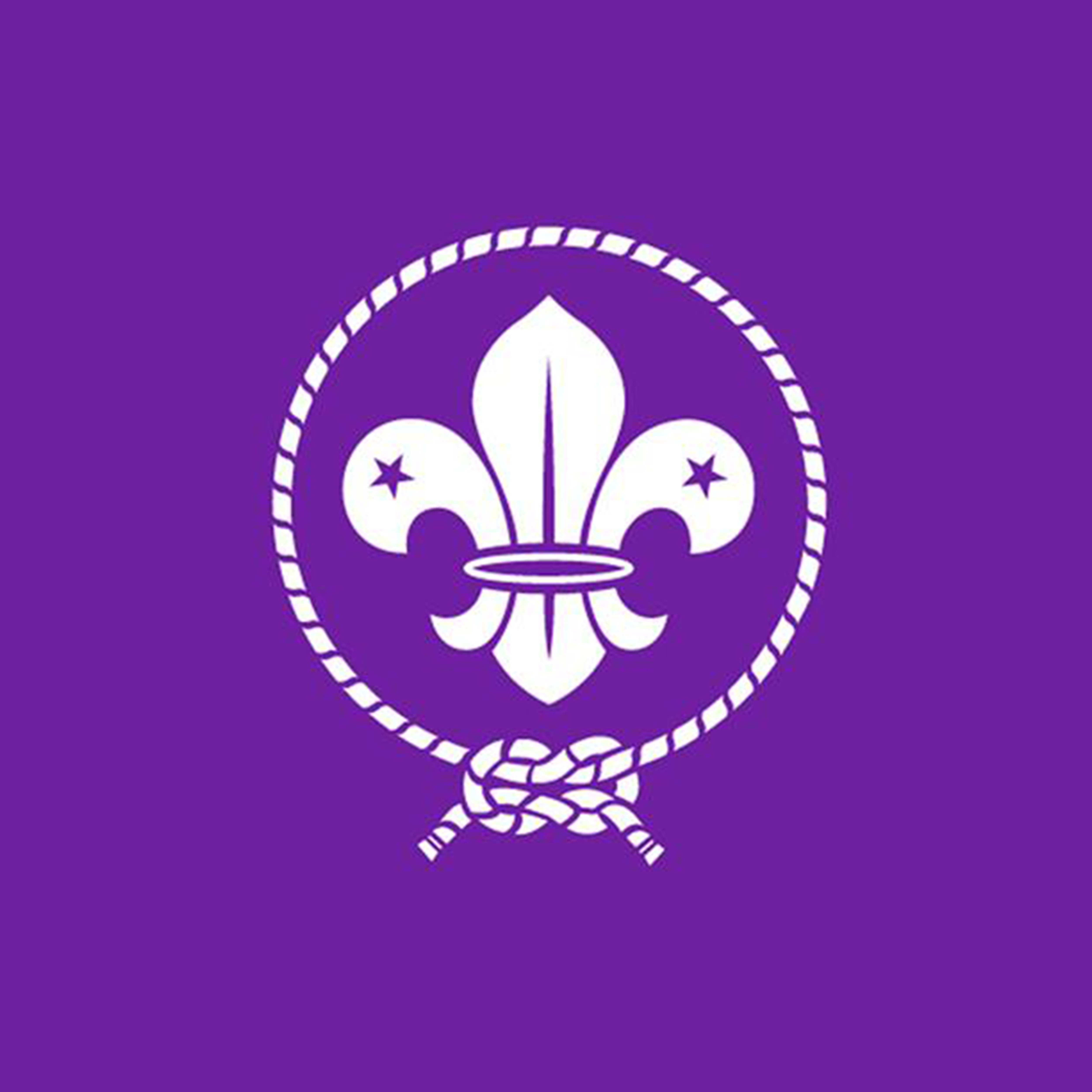 The Scout Movement
